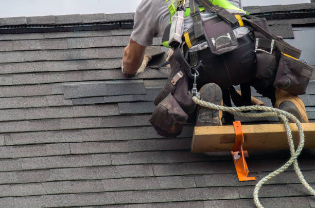 Roof Insulation in Cactus, TX